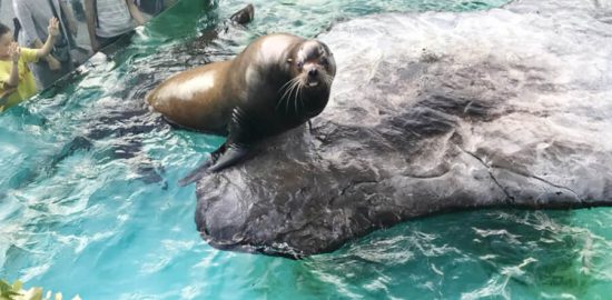 上野動物園